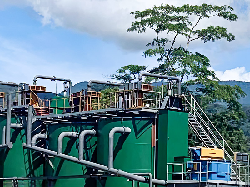 Proiectul de renovare și extindere a concentratorului de mine de aur Jinling Jinling - Jiangxi Yifeng Wanguo Mining Co., Ltd.