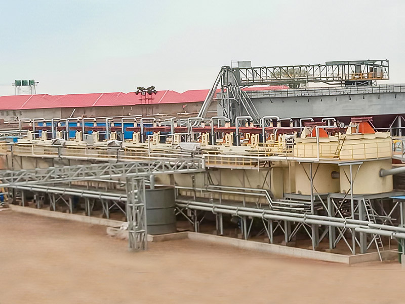 Zimbabwe Lepidolite 3000T/D Proiect de procesare a mineralelor - Zhejiang Dingsen Holding Co., Ltd.